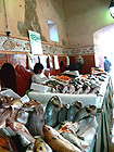 ST. TROPEZ: Ryb trh